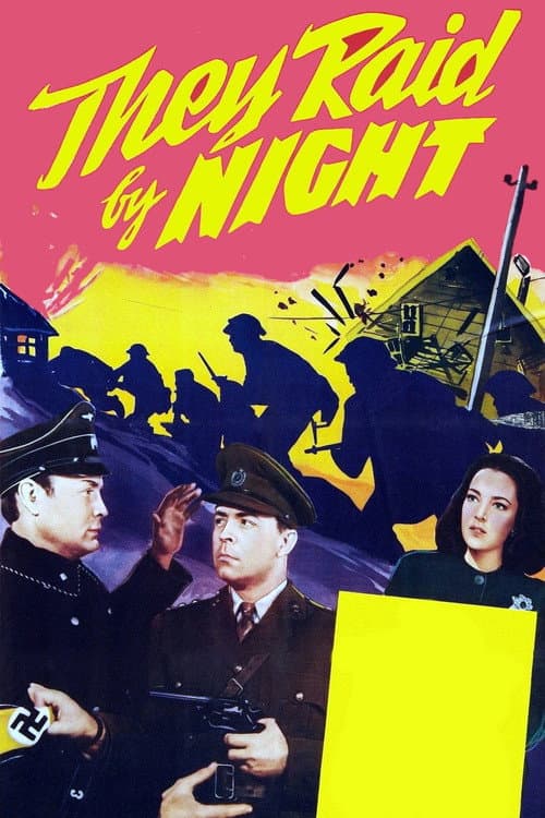 Poster for They Raid by Night