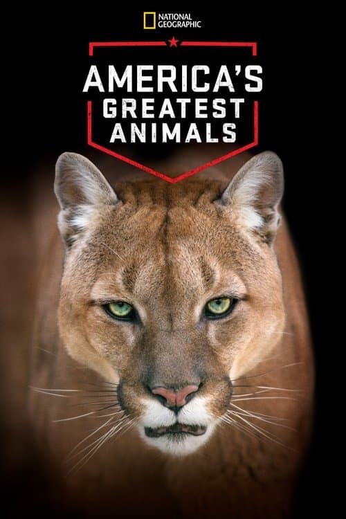 Poster for America's Greatest Animals