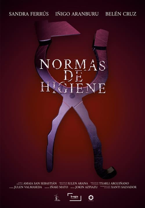 Poster for Hygiene Standards