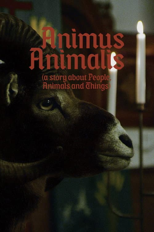 Постер до фільму «Animus Animalis (A Story about People, Animals and Things)»