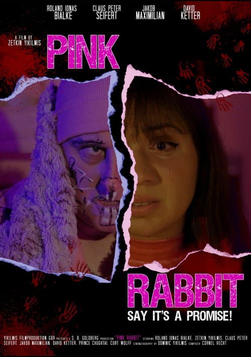 Poster for Pink Rabbit