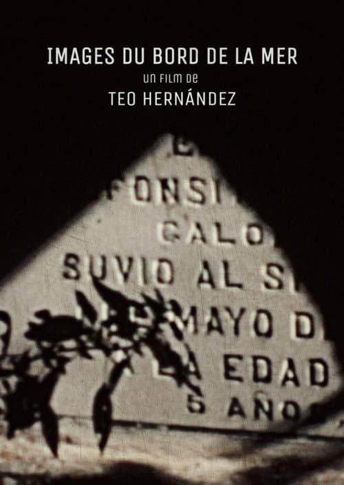 Poster for Images from The Seaside