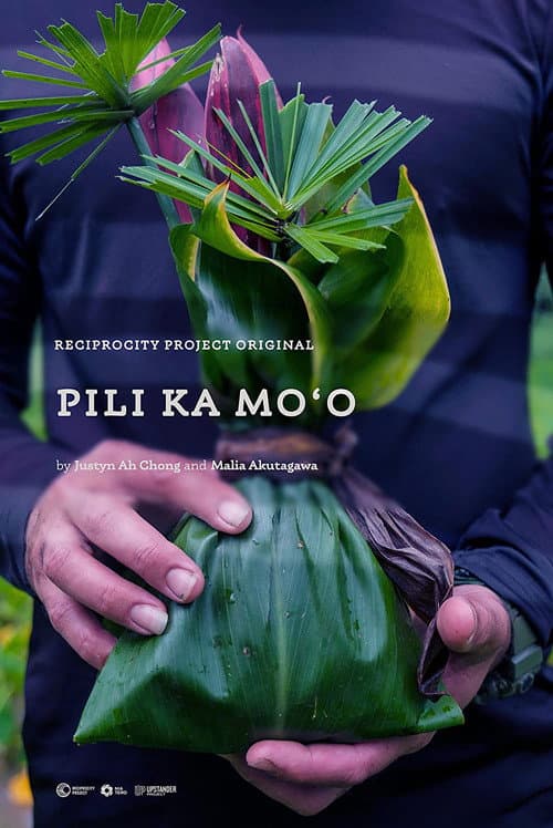 Poster for Pili Ka Moʻo
