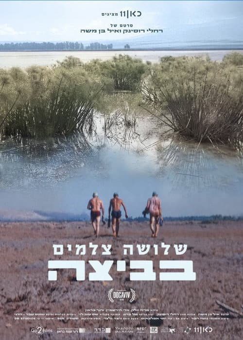 Poster for Wetland