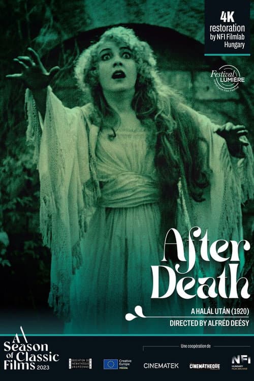 Poster for After Death