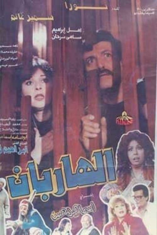 Poster for The Two Fugitives