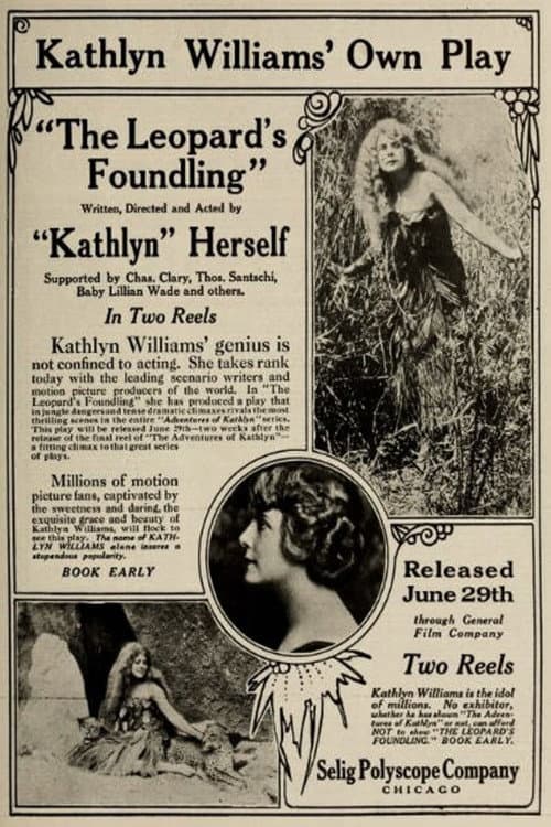 Poster for The Leopard's Foundling