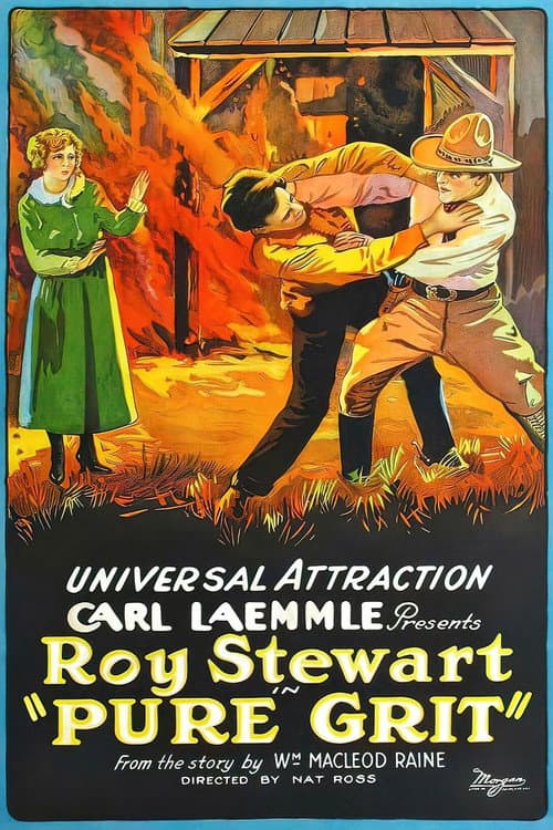 Poster for Pure Grit