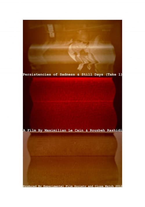 Poster for Persistencies of Sadness & Still Days (Take 1)