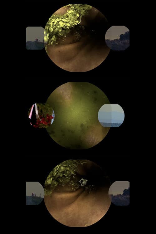 Poster for A Very Long Gif