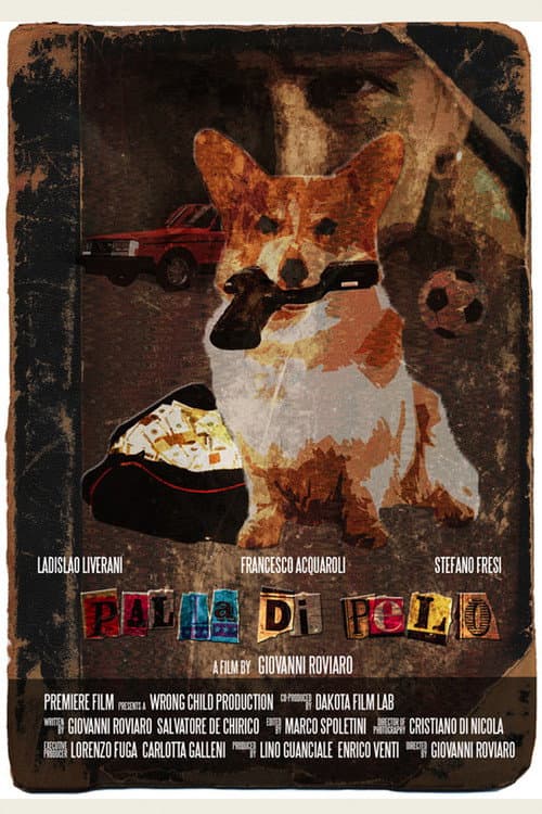 Poster for Palla di pelo