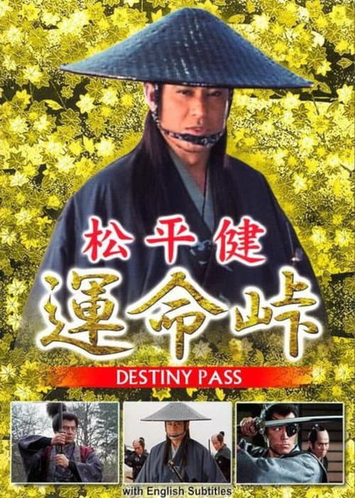 Poster for Destiny Pass