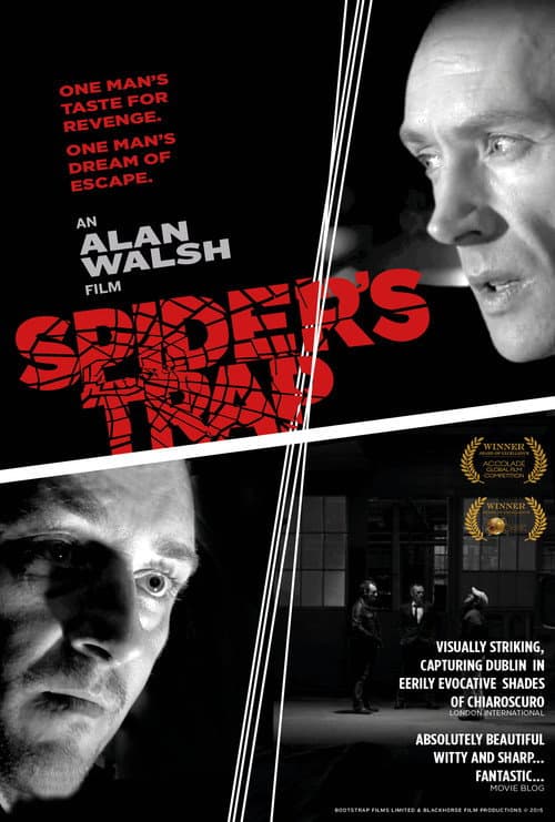 Poster for Spiders Trap