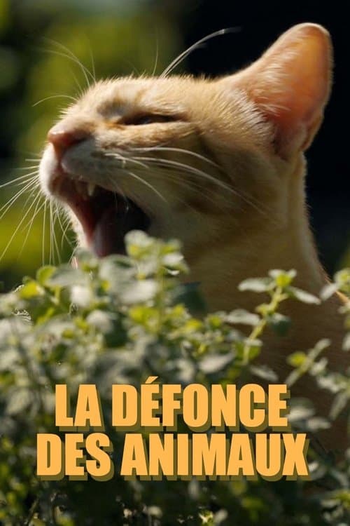 Poster for La défonce des animaux