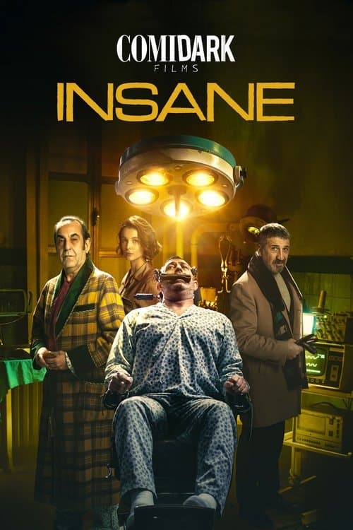 Poster for Comidark Films 2: Insane