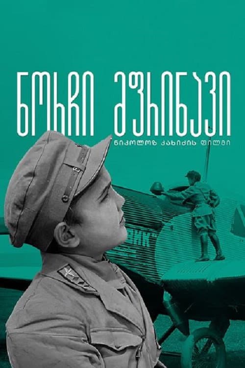 Poster for Gogi - The Young Pilot