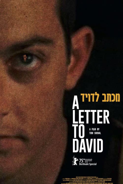 Poster for A Letter to David