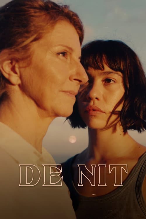 Poster for De nit