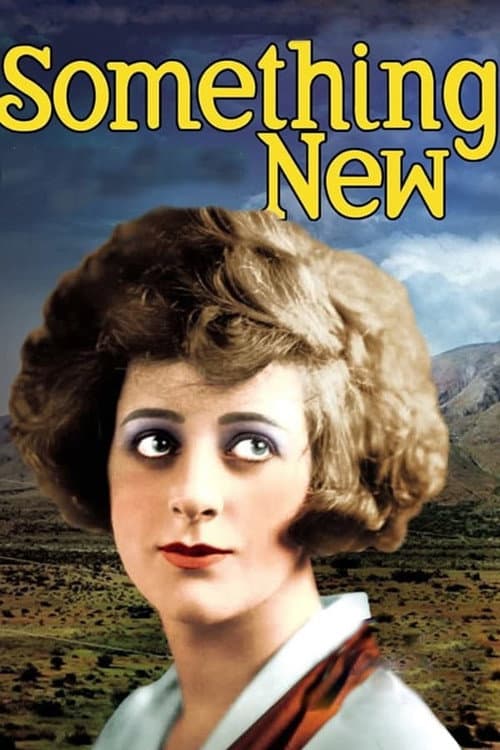 Poster for Something New