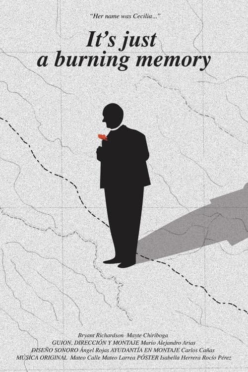 Poster for It's just a burning memory