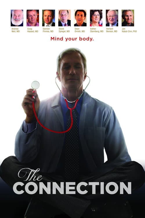 Poster for The Connection