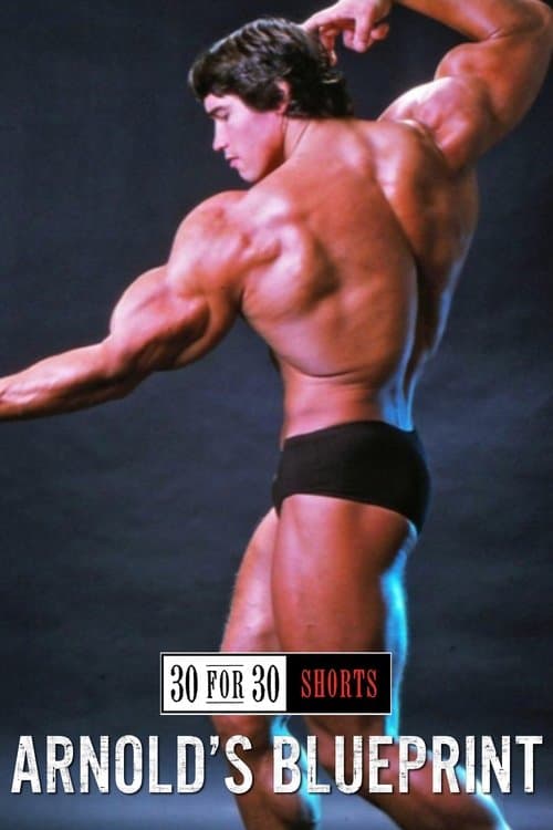Poster for Arnold's Blueprint
