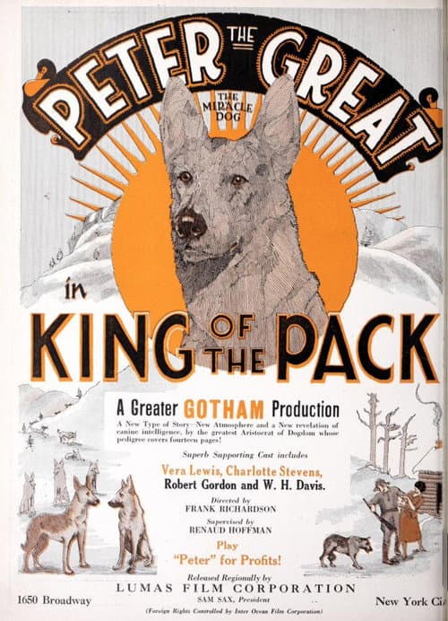 Poster for King of the Pack