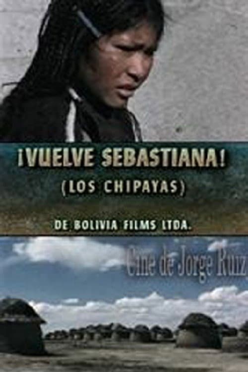 Poster for Come Back, Sebastiana