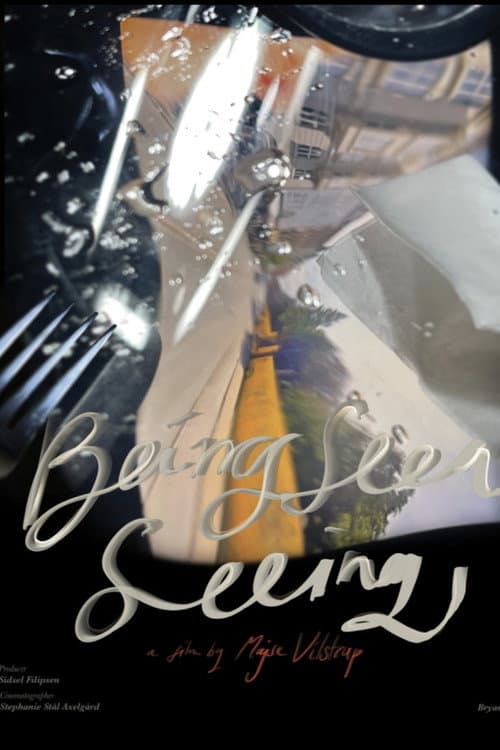Poster for Being Seen Seeing