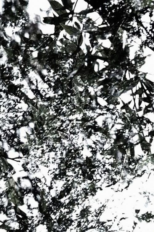 Poster for The Seasons