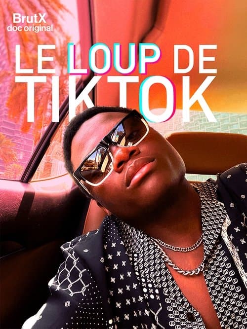 Poster for Le Loup de TikTok