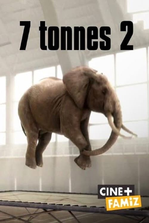 Poster for 7 Tonnes 2