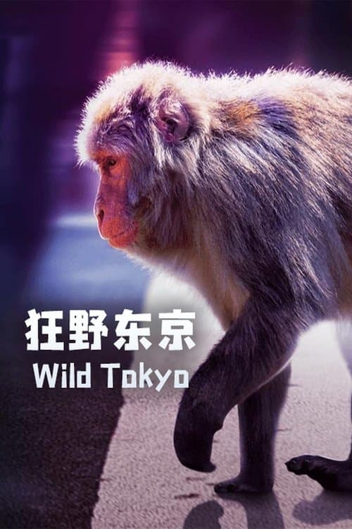 Poster for Wild Tokyo