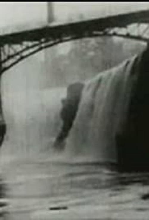 Poster for Passaic Falls, New Jersey