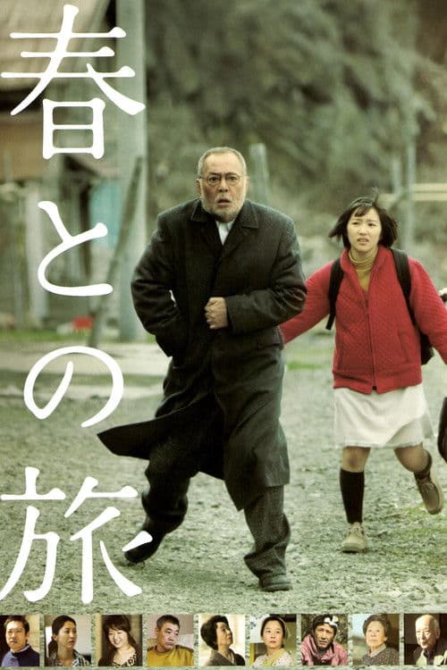Poster for Haru's Journey