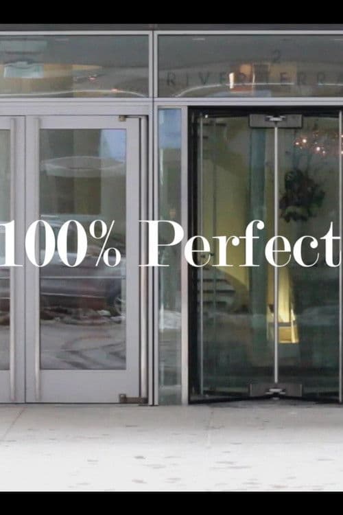 Poster for The 100% Perfect Girl