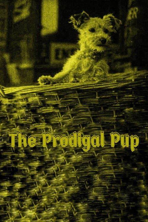 Poster for The Prodigal Pup