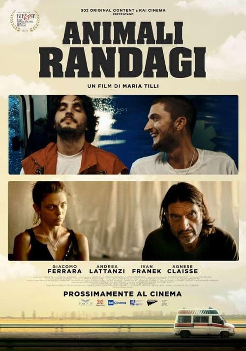 Poster for Animali randagi