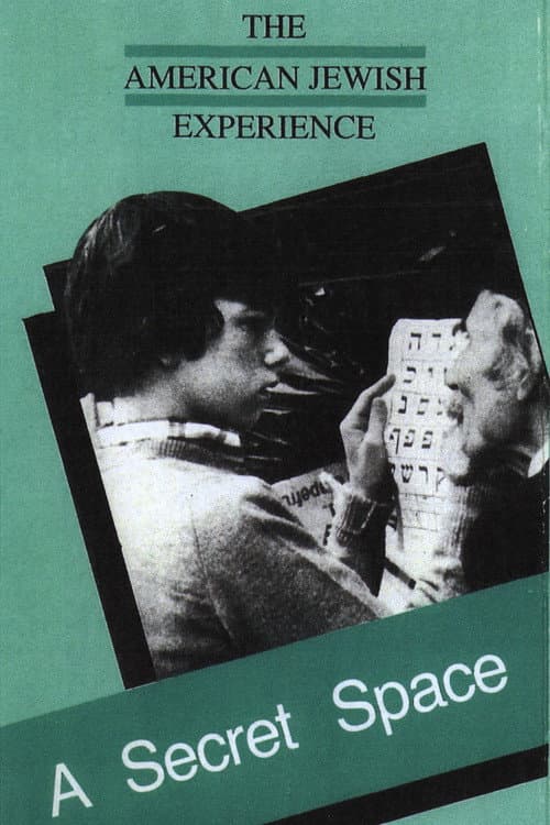 Poster for A Secret Space