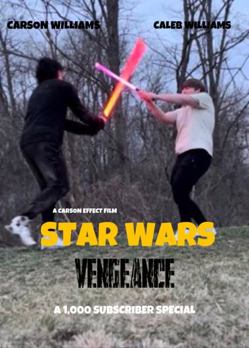 Poster for Star Wars: Vengeance