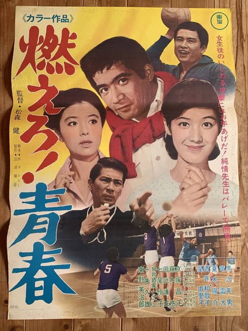 Poster for The Flame of Youth