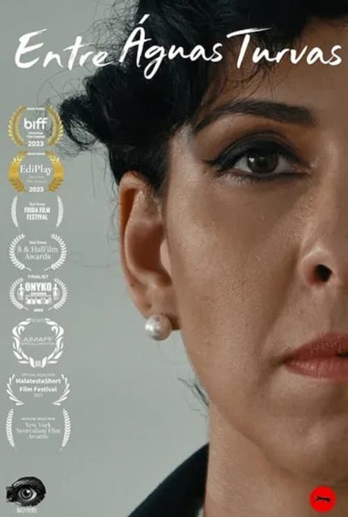 Poster for Entre Águas Turvas