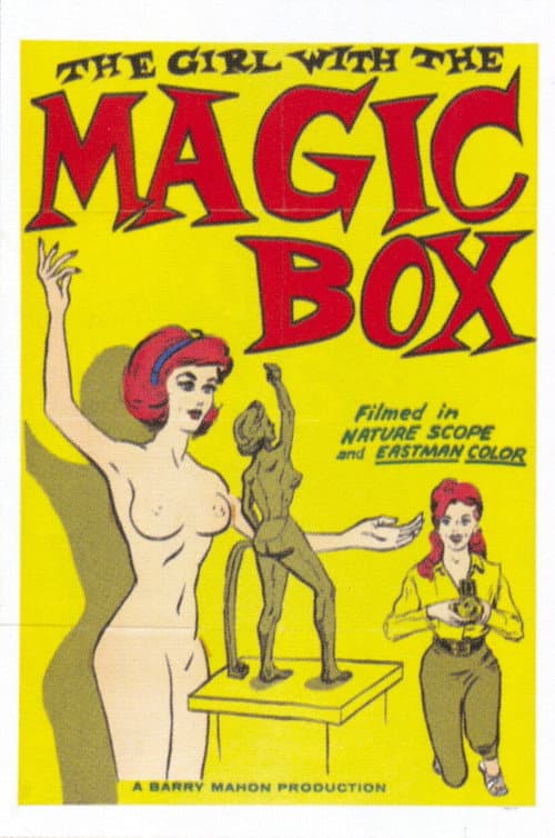 Poster for The Girl with the Magic Box