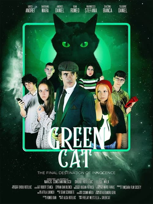 Poster for The Green Cat