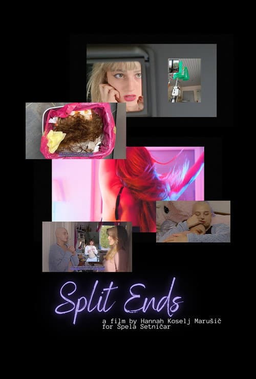 Poster for Split Ends