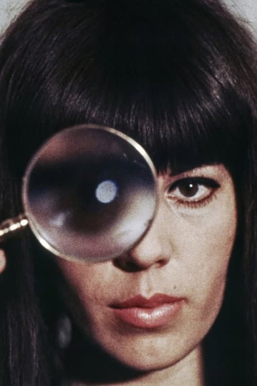 Poster for The Portrait