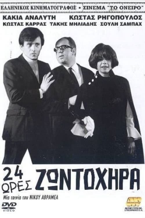 Poster for 24 Hours of Liveliness