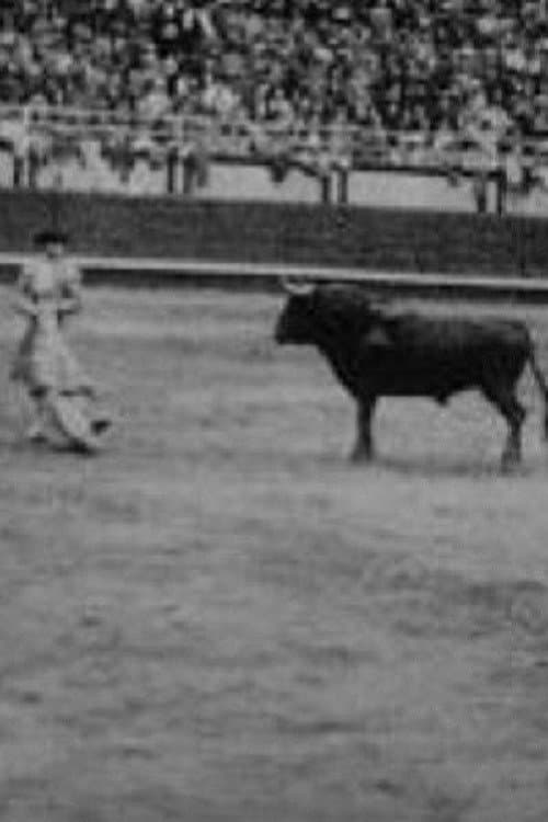 Poster for Corrida profesional Plaza Belmonte