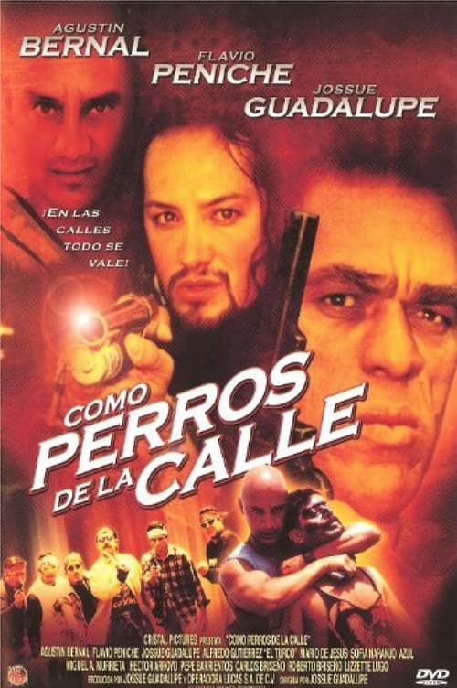 Poster for Como Perros de la Calle