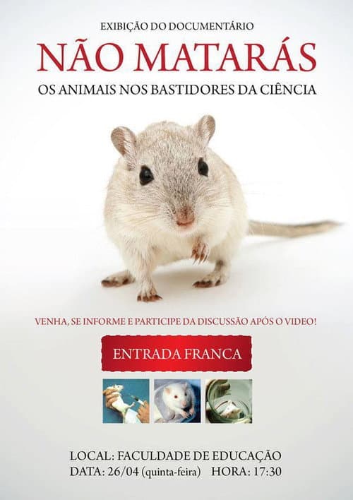 Poster for Não Matarás